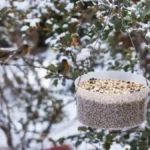 Featured image placeholder 16:9