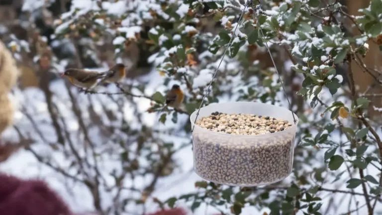 Dit kleine plastic potje, dat vaak wordt weggegooid, verandert deze winter in een onmisbare schuilplaats voor vogels