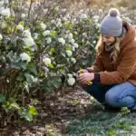 Featured image placeholder 16:9